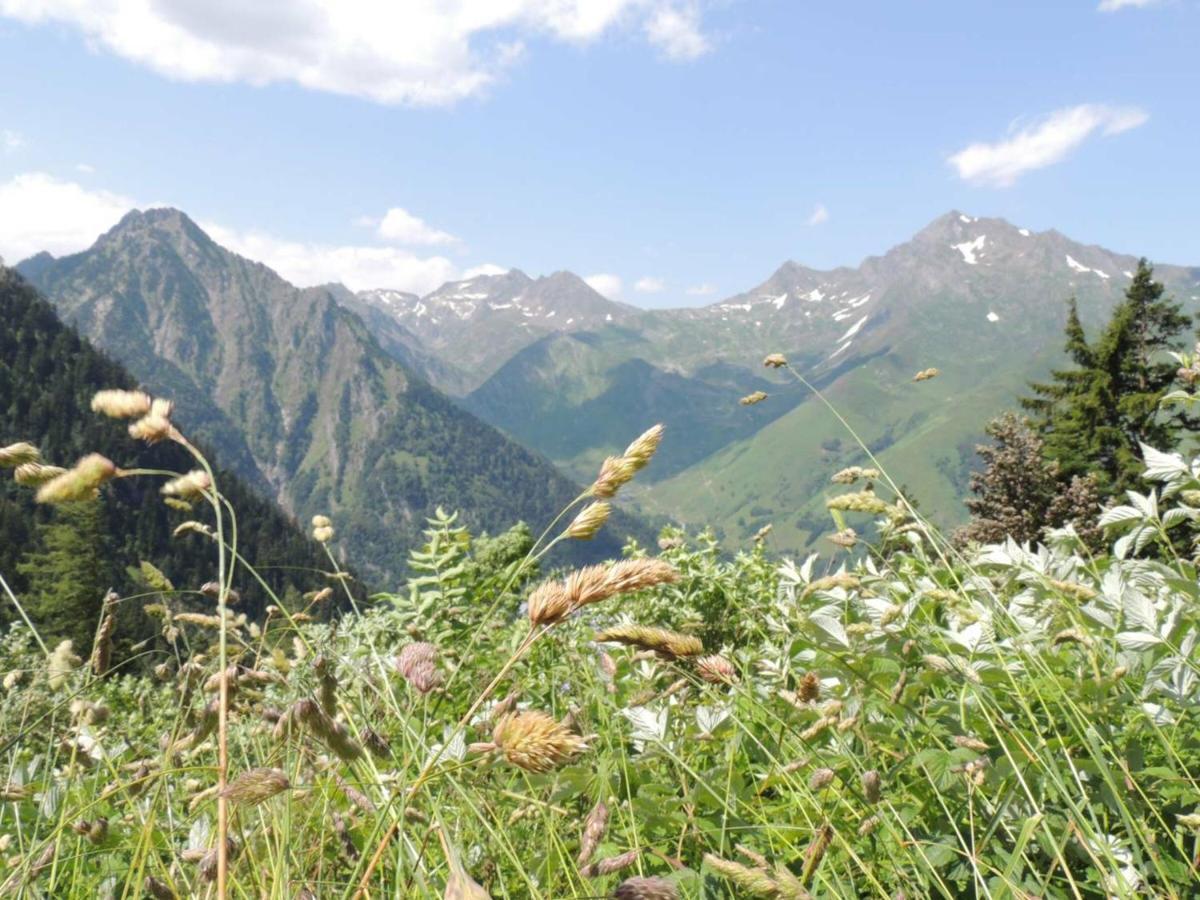 Studio Pour 4 Personnes Au Centre De Cauterets, Proche Telecabines Et Thermes - Fr-1-234-269 외부 사진